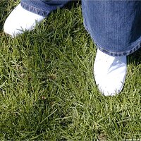  : Gallery : keds : 2004 : 58 : P5050014.JPG