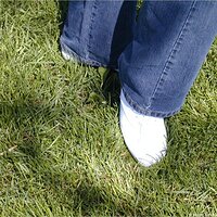  : Gallery : keds : 2004 : 58 : P5050015.JPG