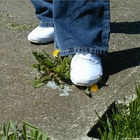  : Gallery : keds : 2004 : 58 : P5050018.JPG