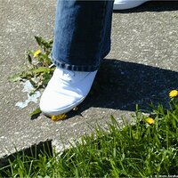  : Gallery : keds : 2004 : 58 : P5050019.JPG