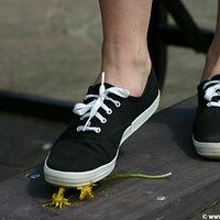  : Gallery : keds : 2005 : 43 : IMG_1979.JPG