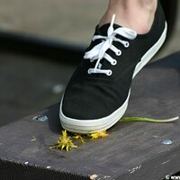  : Gallery : keds : 2005 : 43 : IMG_1980.JPG