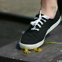  : Gallery : keds : 2005 : 43 : IMG_1981.JPG