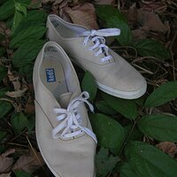  : Gallery : keds : 2005 : 65 : 1006.jpg