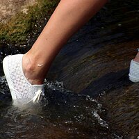  : Gallery : keds : 2006 : 18 : IMG_3592.JPG