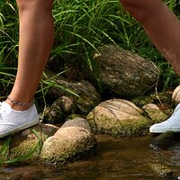  : Gallery : keds : 2006 : 18 : IMG_3601.JPG