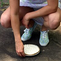  : Gallery : keds : 2006 : 29 : IMG_2381.JPG