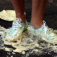  : Gallery : keds : 2006 : 29 : IMG_2464.JPG