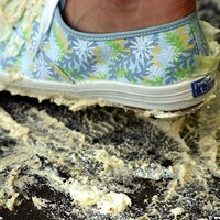  : Gallery : keds : 2006 : 29 : IMG_2480.JPG