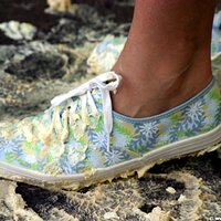  : Gallery : keds : 2006 : 29 : IMG_2482.JPG