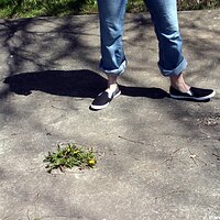  : Gallery : keds : 2006 : 34 : IMG_0840.JPG