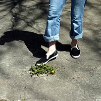  : Gallery : keds : 2006 : 34 : IMG_0841.JPG