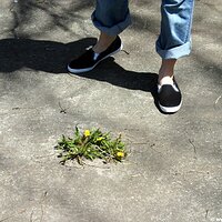  : Gallery : keds : 2006 : 34 : IMG_0844.JPG