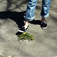  : Gallery : keds : 2006 : 34 : IMG_0845.JPG