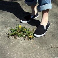  : Gallery : keds : 2006 : 34 : IMG_0848.JPG