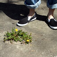  : Gallery : keds : 2006 : 34 : IMG_0849.JPG