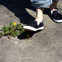  : Gallery : keds : 2006 : 34 : IMG_0850.JPG