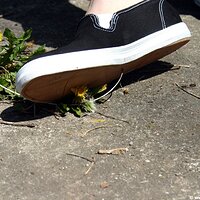  : Gallery : keds : 2006 : 34 : IMG_0852.JPG