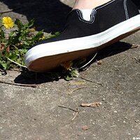  : Gallery : keds : 2006 : 34 : IMG_0854.JPG