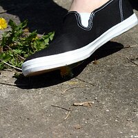  : Gallery : keds : 2006 : 34 : IMG_0855.JPG