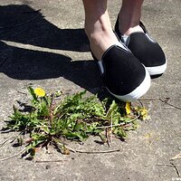  : Gallery : keds : 2006 : 34 : IMG_0861.JPG