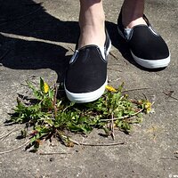  : Gallery : keds : 2006 : 34 : IMG_0862.JPG
