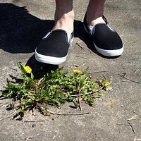  : Gallery : keds : 2006 : 34 : IMG_0863.JPG