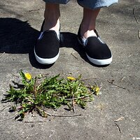  : Gallery : keds : 2006 : 34 : IMG_0864.JPG
