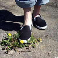  : Gallery : keds : 2006 : 34 : IMG_0867.JPG