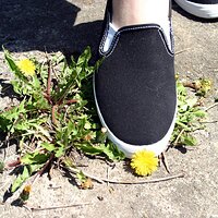  : Gallery : keds : 2006 : 34 : IMG_0868.JPG
