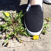  : Gallery : keds : 2006 : 34 : IMG_0869.JPG