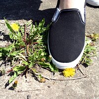  : Gallery : keds : 2006 : 34 : IMG_0870.JPG