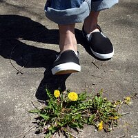  : Gallery : keds : 2006 : 34 : IMG_0876.JPG