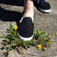  : Gallery : keds : 2006 : 34 : IMG_0878.JPG