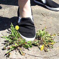  : Gallery : keds : 2006 : 34 : IMG_0879.JPG