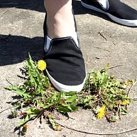  : Gallery : keds : 2006 : 34 : IMG_0880.JPG