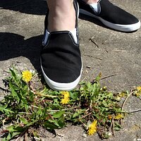  : Gallery : keds : 2006 : 34 : IMG_0883.JPG