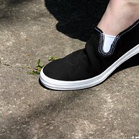  : Gallery : keds : 2006 : 34 : IMG_0891.JPG