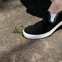  : Gallery : keds : 2006 : 34 : IMG_0892.JPG