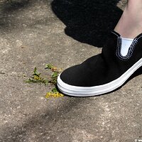  : Gallery : keds : 2006 : 34 : IMG_0893.JPG