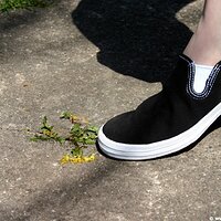  : Gallery : keds : 2006 : 34 : IMG_0894.JPG