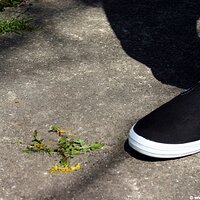  : Gallery : keds : 2006 : 34 : IMG_0895.JPG