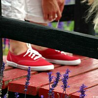 : Gallery : keds : 2006 : 42 : IMG_5739.JPG