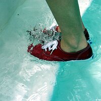  : Gallery : keds : 2006 : 44 : IMG_2934.JPG