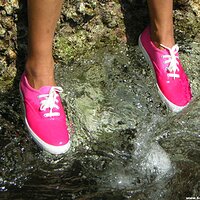  : Gallery : keds : 2006 : 90 : DSCN6662.JPG