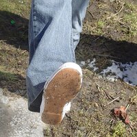  : Gallery : keds : 2007 : 44 : DSC02401.JPG