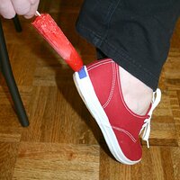  : Gallery : keds : 2008 : 08 : img_4856.jpg