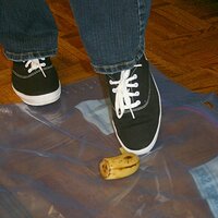  : Gallery : keds : 2008 : 16 : img_4556.jpg