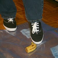  : Gallery : keds : 2008 : 16 : img_4557.jpg