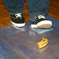  : Gallery : keds : 2008 : 16 : img_4558.jpg